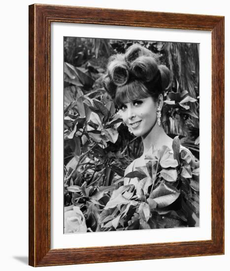 Gilligan's Island-null-Framed Photo