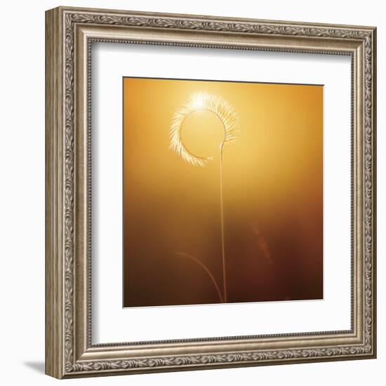 Gilly-Bob Larson-Framed Art Print