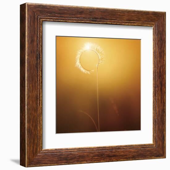 Gilly-Bob Larson-Framed Art Print