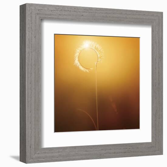 Gilly-Bob Larson-Framed Art Print