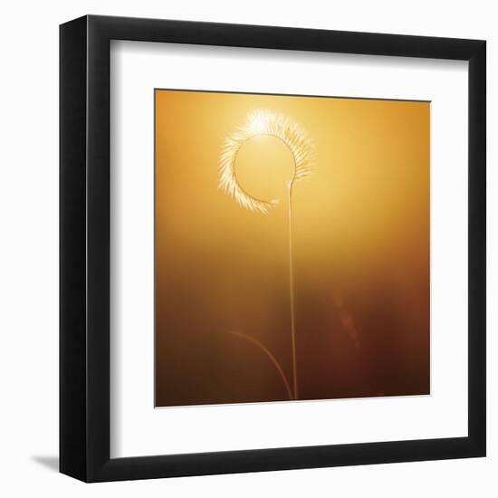 Gilly-Bob Larson-Framed Art Print