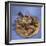 Gilt Silver Hen with Seven Chicks-null-Framed Giclee Print