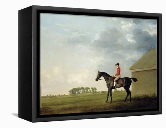 Gimcrack with John Pratt Up on Newmarket Heath, 1765-George Stubbs-Framed Premier Image Canvas