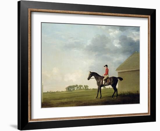 Gimcrack with John Pratt Up on Newmarket Heath, 1765-George Stubbs-Framed Giclee Print