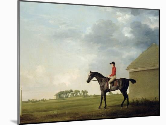 Gimcrack with John Pratt Up on Newmarket Heath, 1765-George Stubbs-Mounted Giclee Print