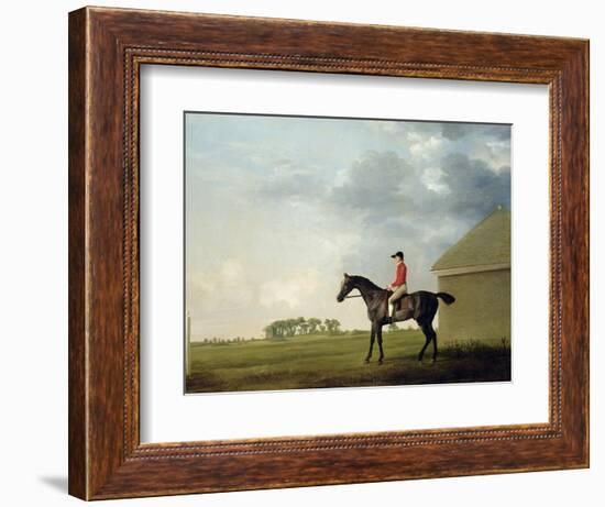 Gimcrack with John Pratt Up on Newmarket Heath, 1765-George Stubbs-Framed Giclee Print