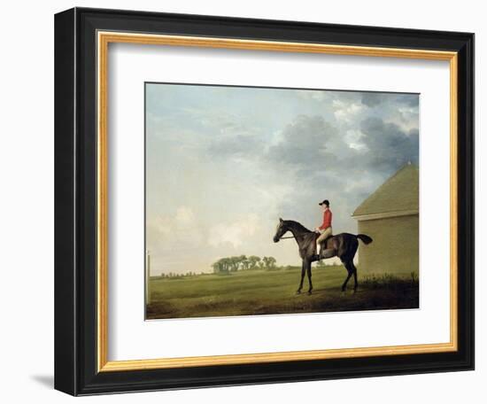 Gimcrack with John Pratt Up on Newmarket Heath, 1765-George Stubbs-Framed Giclee Print