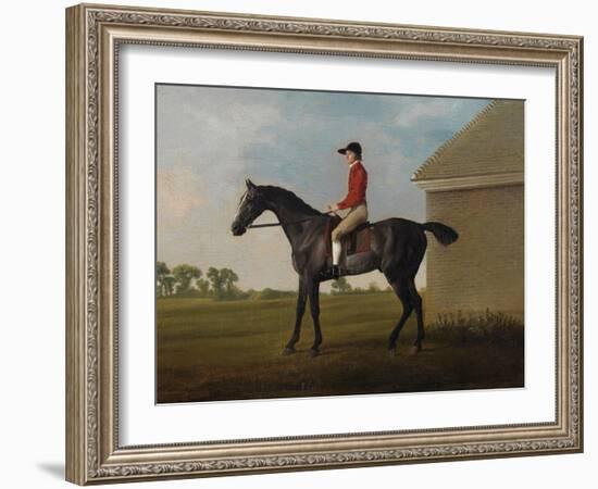 Gimcrack, with John Pratt Up, on Newmarket Heath, 1795 (Oil on Canvas)-George Stubbs-Framed Giclee Print