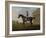 Gimcrack, with John Pratt Up, on Newmarket Heath, 1795 (Oil on Canvas)-George Stubbs-Framed Giclee Print