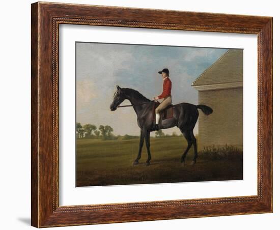 Gimcrack, with John Pratt Up, on Newmarket Heath, 1795 (Oil on Canvas)-George Stubbs-Framed Giclee Print