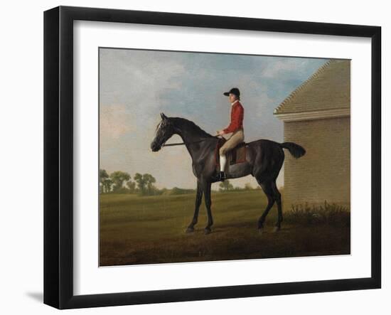 Gimcrack, with John Pratt Up, on Newmarket Heath, 1795 (Oil on Canvas)-George Stubbs-Framed Giclee Print