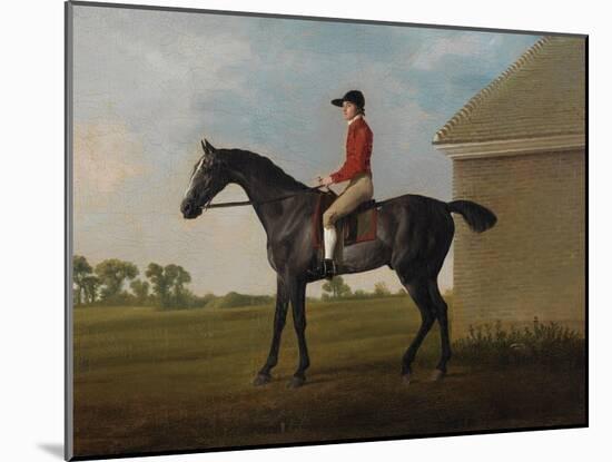 Gimcrack, with John Pratt Up, on Newmarket Heath, 1795 (Oil on Canvas)-George Stubbs-Mounted Giclee Print