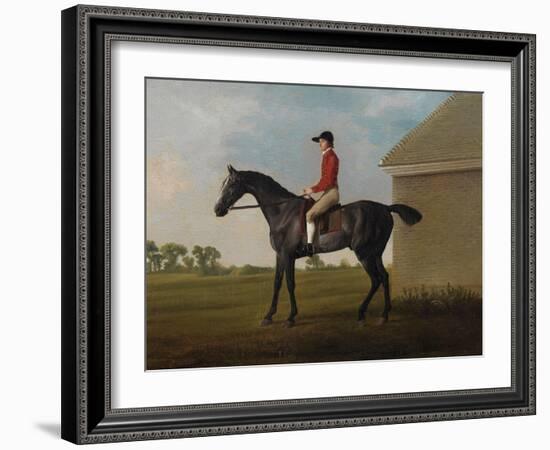 Gimcrack, with John Pratt Up, on Newmarket Heath, 1795 (Oil on Canvas)-George Stubbs-Framed Giclee Print