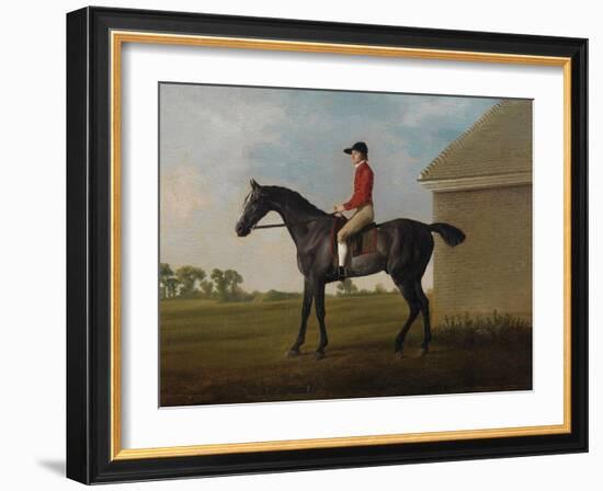 Gimcrack, with John Pratt Up, on Newmarket Heath, 1795 (Oil on Canvas)-George Stubbs-Framed Giclee Print
