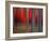 Gimick-Philippe Sainte-Laudy-Framed Photographic Print