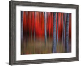 Gimick-Philippe Sainte-Laudy-Framed Photographic Print