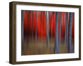 Gimick-Philippe Sainte-Laudy-Framed Photographic Print