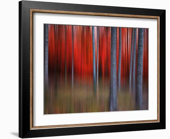 Gimick-Philippe Sainte-Laudy-Framed Photographic Print