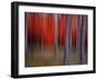 Gimick-Philippe Sainte-Laudy-Framed Photographic Print