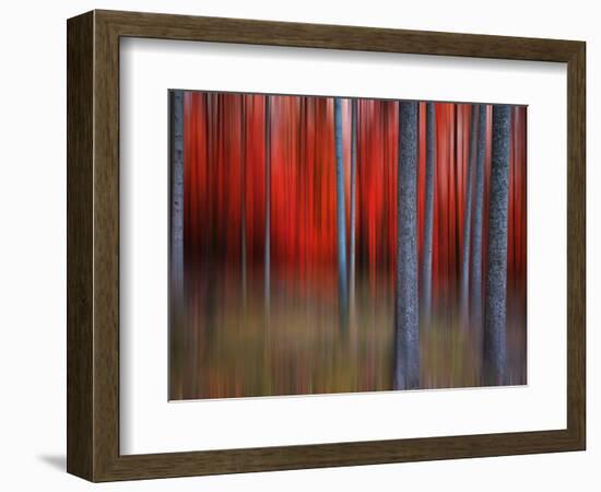 Gimick-Philippe Sainte-Laudy-Framed Photographic Print