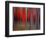 Gimick-Philippe Sainte-Laudy-Framed Photographic Print