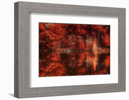 Gimme Some Soul-Philippe Sainte-Laudy-Framed Photographic Print