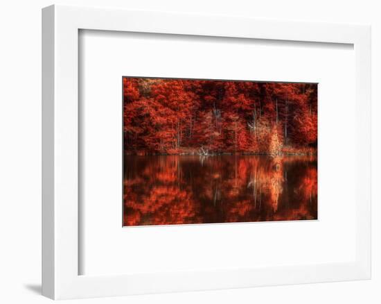 Gimme Some Soul-Philippe Sainte-Laudy-Framed Photographic Print