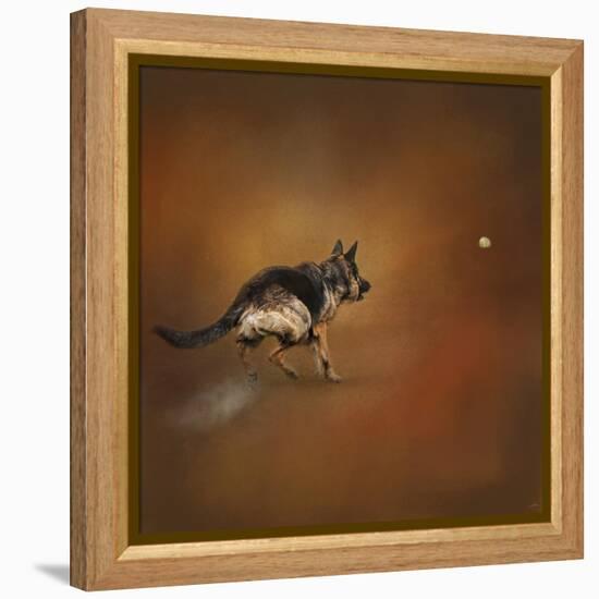 Gimme That Ball German Shepherd-Jai Johnson-Framed Premier Image Canvas