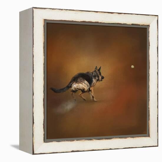 Gimme That Ball German Shepherd-Jai Johnson-Framed Premier Image Canvas