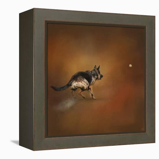Gimme That Ball German Shepherd-Jai Johnson-Framed Premier Image Canvas