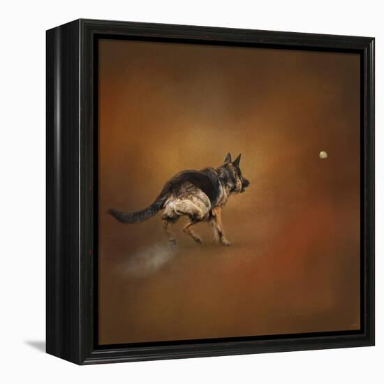 Gimme That Ball German Shepherd-Jai Johnson-Framed Premier Image Canvas