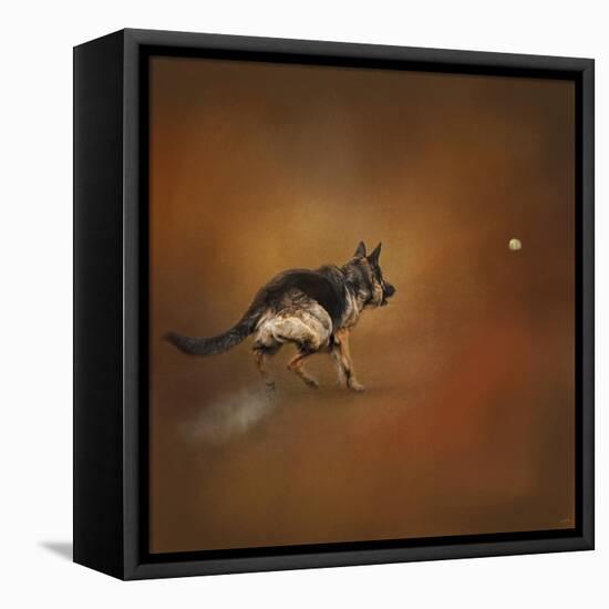 Gimme That Ball German Shepherd-Jai Johnson-Framed Premier Image Canvas