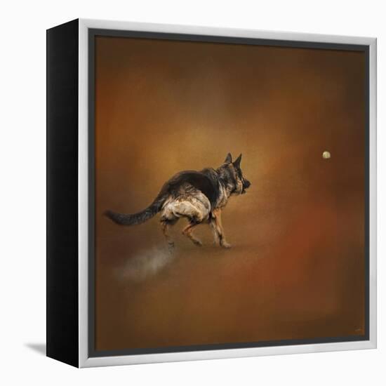 Gimme That Ball German Shepherd-Jai Johnson-Framed Premier Image Canvas