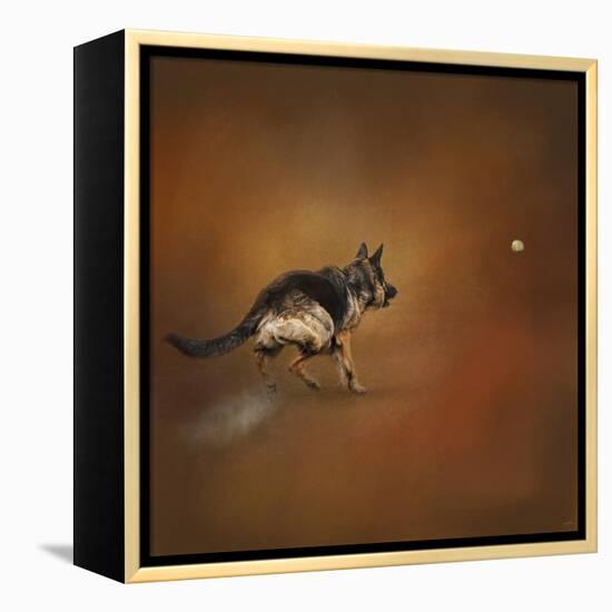 Gimme That Ball German Shepherd-Jai Johnson-Framed Premier Image Canvas