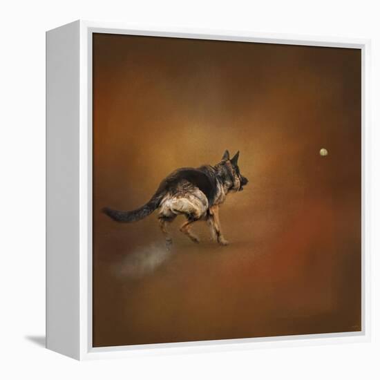 Gimme That Ball German Shepherd-Jai Johnson-Framed Premier Image Canvas