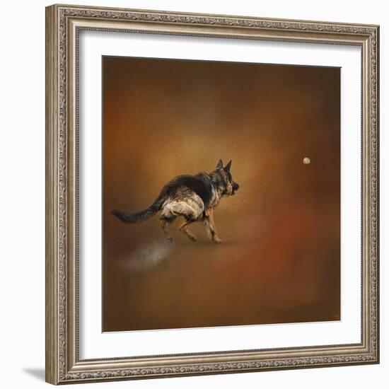 Gimme That Ball German Shepherd-Jai Johnson-Framed Giclee Print