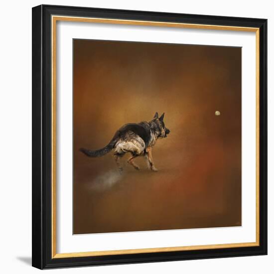 Gimme That Ball German Shepherd-Jai Johnson-Framed Giclee Print