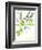 Gin & Tonic-Marcella Kriebel-Framed Art Print