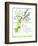 Gin & Tonic-Marcella Kriebel-Framed Art Print