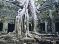 Ta Prohn, Angkor, Siem Reap, Cambodia, Indochina, Asia-Gina Corrigan-Photographic Print