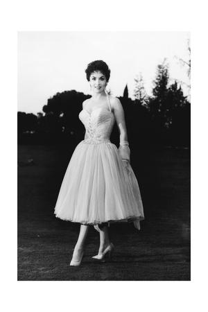 an elegant dress