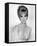 Gina Lollobrigida-null-Framed Stretched Canvas