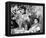 Gina Lollobrigida-null-Framed Stretched Canvas