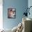 Gina Lollobrigida-null-Framed Stretched Canvas displayed on a wall