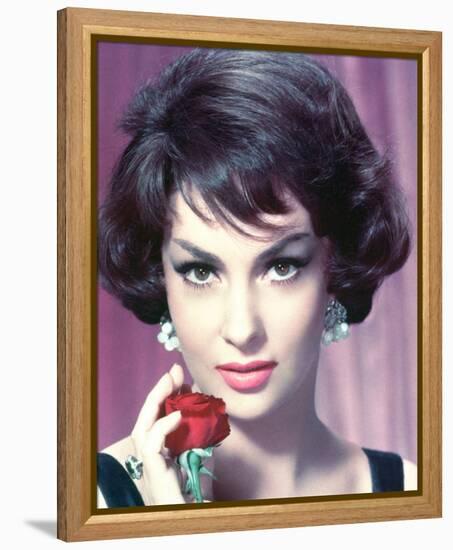 Gina Lollobrigida-null-Framed Stretched Canvas