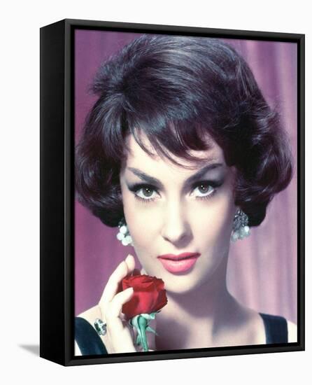 Gina Lollobrigida-null-Framed Stretched Canvas