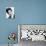 Gina Lollobrigida-null-Photographic Print displayed on a wall