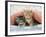 Ginger and Grey Tabby Kittens-null-Framed Photographic Print