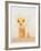 Ginger Beer-Mary Faulconer-Framed Limited Edition