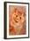 Ginger Cat, 1931-Louis Wain-Framed Giclee Print